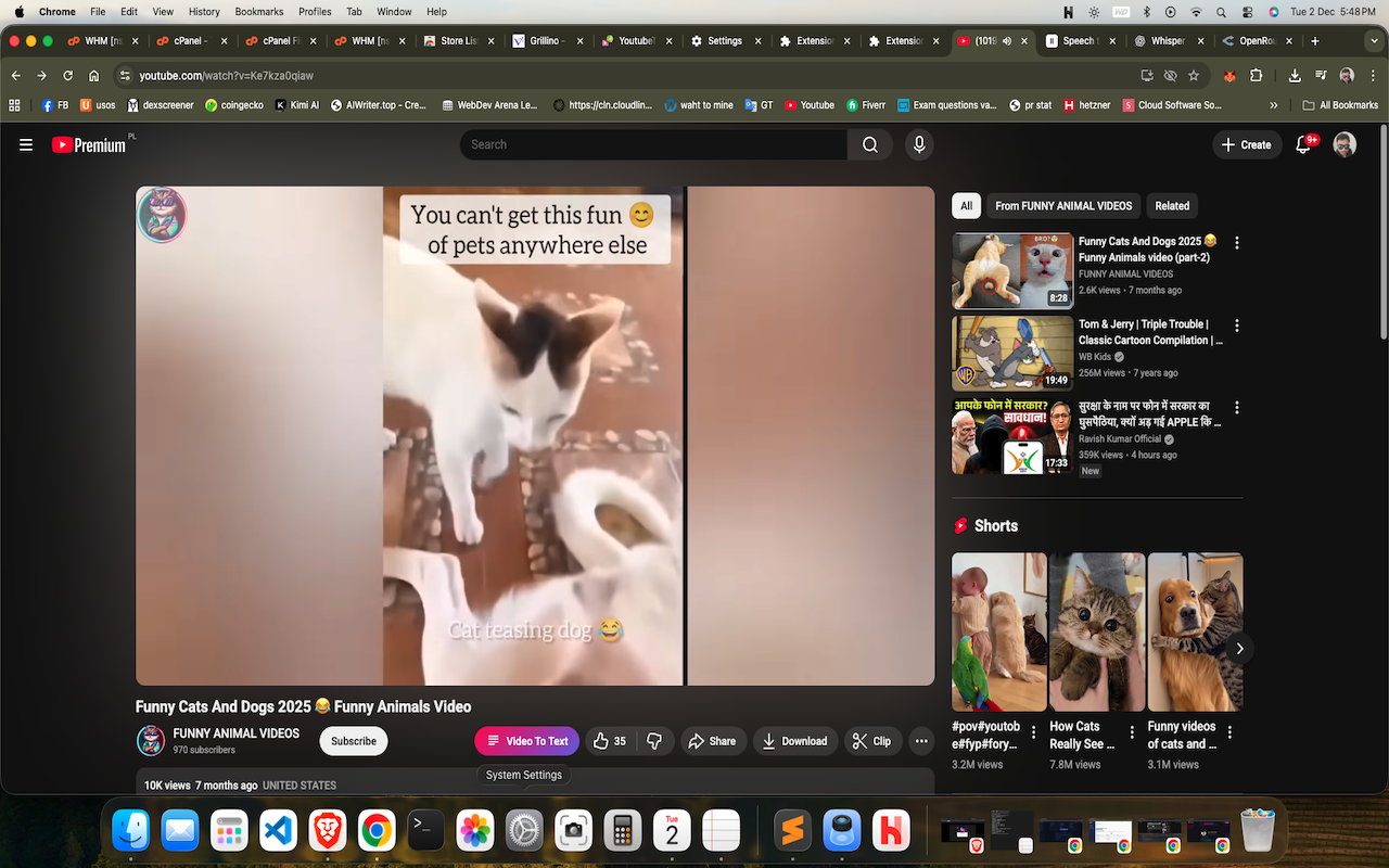 YouTube Transcript Chrome Extension on YouTube